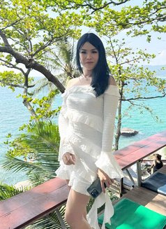 Mickey - Transsexual escort in Phuket Photo 1 of 3