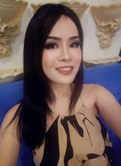 Mickey - Transsexual escort in Phuket Photo 9 of 10