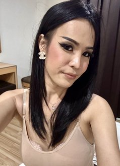 Mickey - Transsexual escort in Phuket Photo 12 of 20