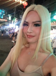 Mickey - Transsexual escort in Phuket Photo 19 of 19