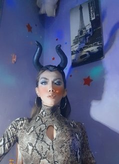 Mickie - Transsexual escort in Manila Photo 6 of 7