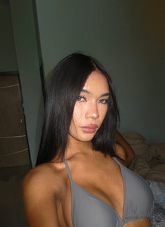 Micky Lb - Acompañantes transexual in Phuket Photo 14 of 14