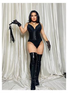 Micky leone - Acompañantes transexual in New Delhi Photo 11 of 18