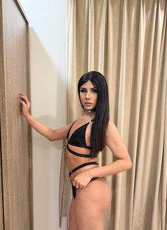 Miguel Both VIP69🇹🇭 - Transsexual escort in Dammam Photo 12 of 19