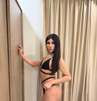 Miguel Both VIP69🇹🇭 - Transsexual escort in Dammam