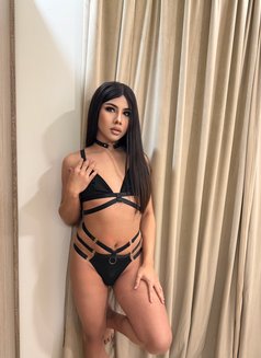Miguel Both VIP69🇹🇭 - Transsexual escort in Dammam Photo 13 of 19