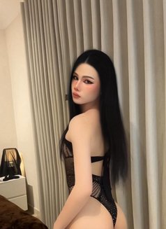 Miguel ladyboy Thailand Vip - Acompañantes transexual in Khobar Photo 13 of 14