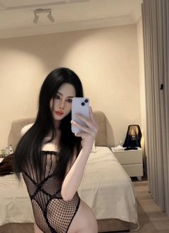 Miguel ladyboy Thailand Vip - Acompañantes transexual in Khobar Photo 14 of 14