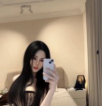 ladyboy Thailand Vip - Acompañantes transexual in Khobar Photo 14 of 14