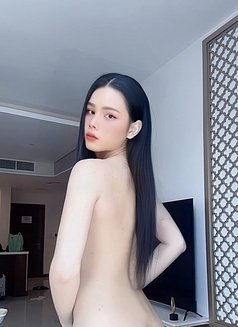 Miguel ladyboy Vip - Transsexual escort in Dammam Photo 5 of 8