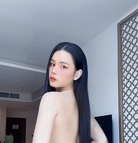 Miguel ladyboy Vip - Transsexual escort in Dammam