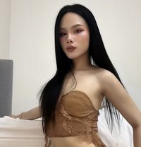 Miguel ladyboy Vip - Transsexual escort in Dammam