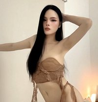 Miguel ladyboy Vip - Acompañantes transexual in Dammam Photo 9 of 9