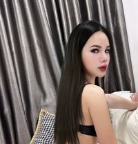 Miguel ladyboy Vip - Transsexual escort in Khobar Photo 10 of 11