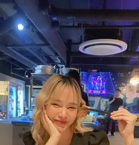 Miguel ~ - escort in Pattaya