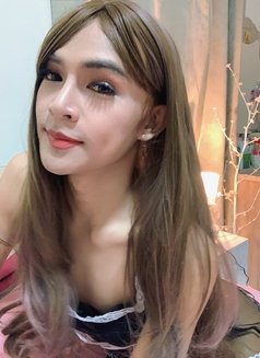 Miguel 🇹🇭Vip (Full Service) - Acompañantes transexual in Muscat Photo 1 of 10