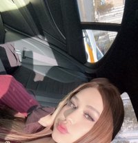 Milana 🇬🇪Georgian🇬🇪 First time - Transsexual escort in Doha Photo 9 of 9