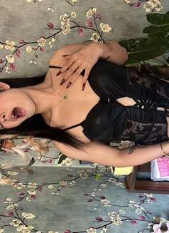 Mika - Transsexual escort in Bangalore Photo 20 of 20