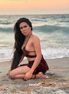 Huge melisa - Acompañantes transexual in Kuala Lumpur Photo 7 of 7