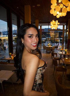 Mika So Cute - Acompañantes transexual in Phuket Photo 30 of 30