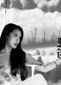 Mika @Thalang - Transsexual escort in Phuket Photo 17 of 24