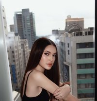 Mikay the international sex doll - Transsexual escort in Taipei