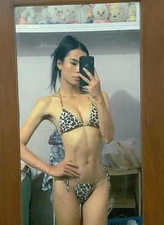 Mikey - Transsexual adult performer in Manila Photo 3 of 4