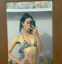 Mikey - Transsexual adult performer in Manila