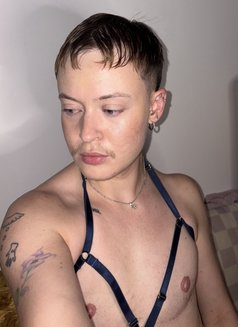 Mikha Trans FTM Paris - Transsexual escort in Paris Photo 4 of 8