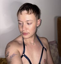 Mikha Trans FTM Paris - Transsexual escort in Paris Photo 4 of 8