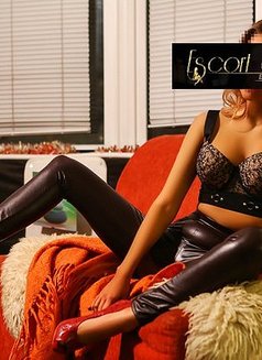 Miki - escort in Abu Dhabi Photo 2 of 6