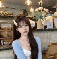 Miki Premium Escort Service Telegram - escort agency in Taipei