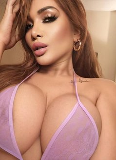 Miki - Transsexual escort in İstanbul Photo 8 of 9