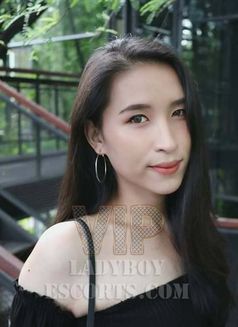 Miki - Transsexual escort in Bangkok Photo 3 of 6