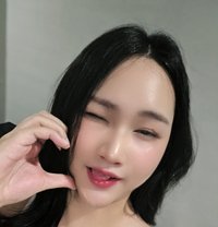 Miikii - Transsexual escort in Phnom Penh
