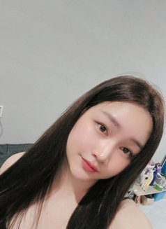 Miikii - Transsexual escort in Phnom Penh Photo 4 of 6