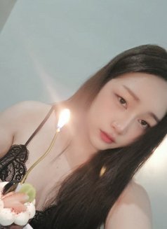 Miikii - Transsexual escort in Phnom Penh Photo 6 of 6