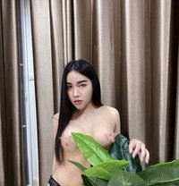 Miki - Transsexual escort in Singapore