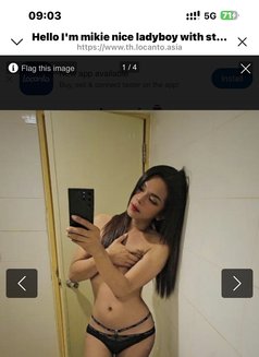 Mikie - Transsexual escort in Bangkok Photo 11 of 11