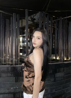 Mikisora - Transsexual escort in Bangkok Photo 3 of 8
