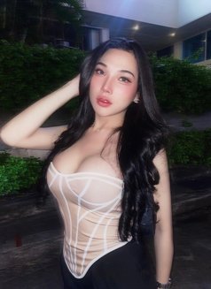 Mikisora - Transsexual escort in Bangkok Photo 6 of 8
