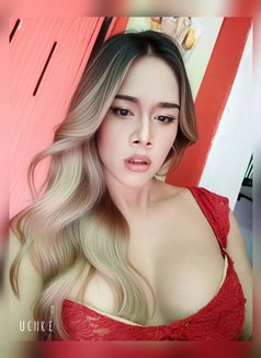 Mikky - Transsexual escort in Pattaya Photo 2 of 7