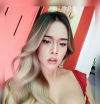 Mikky - Transsexual escort in Pattaya