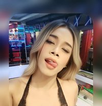 Mikky - Transsexual escort in Pattaya