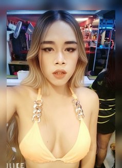 Mikky - Transsexual escort in Pattaya Photo 4 of 7