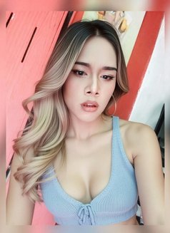 Mikky - Acompañantes transexual in Pattaya Photo 9 of 10