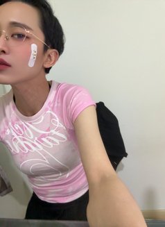 Miko Sue - Transsexual escort in Kuala Lumpur Photo 1 of 3