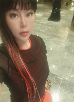 Miko the best anal sex-japanese escort - escort in Dubai Photo 28 of 29