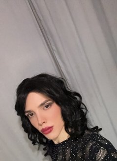 Mila 12 - Acompañantes transexual in İstanbul Photo 1 of 5