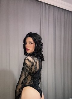 Mila 12 - Acompañantes transexual in İstanbul Photo 3 of 5